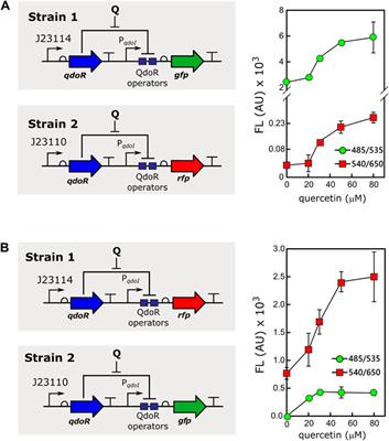 Control of Gene Expression With Quercetin-Responsive Modular Circuits